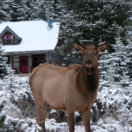 Nipika Mountain Resort Radium Hot Springs Esterno foto
