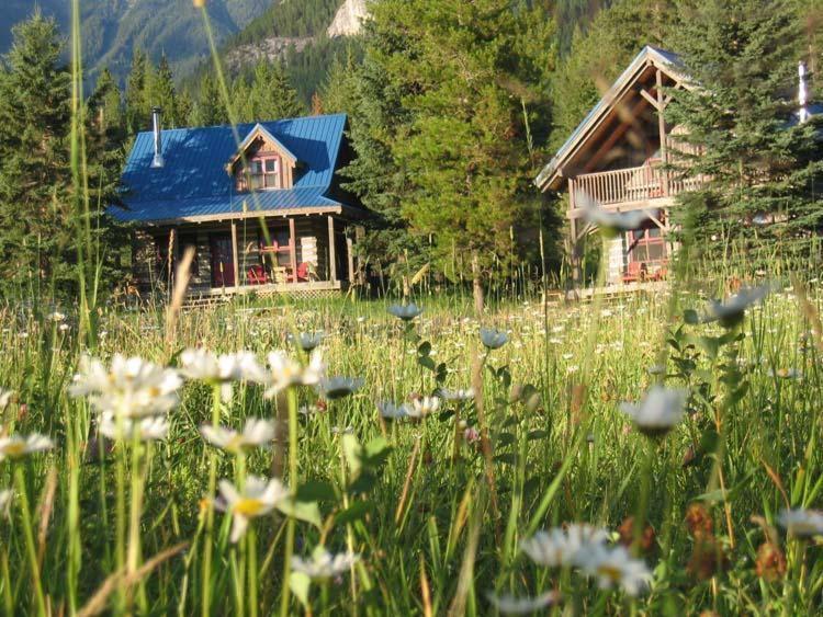 Nipika Mountain Resort Radium Hot Springs Esterno foto