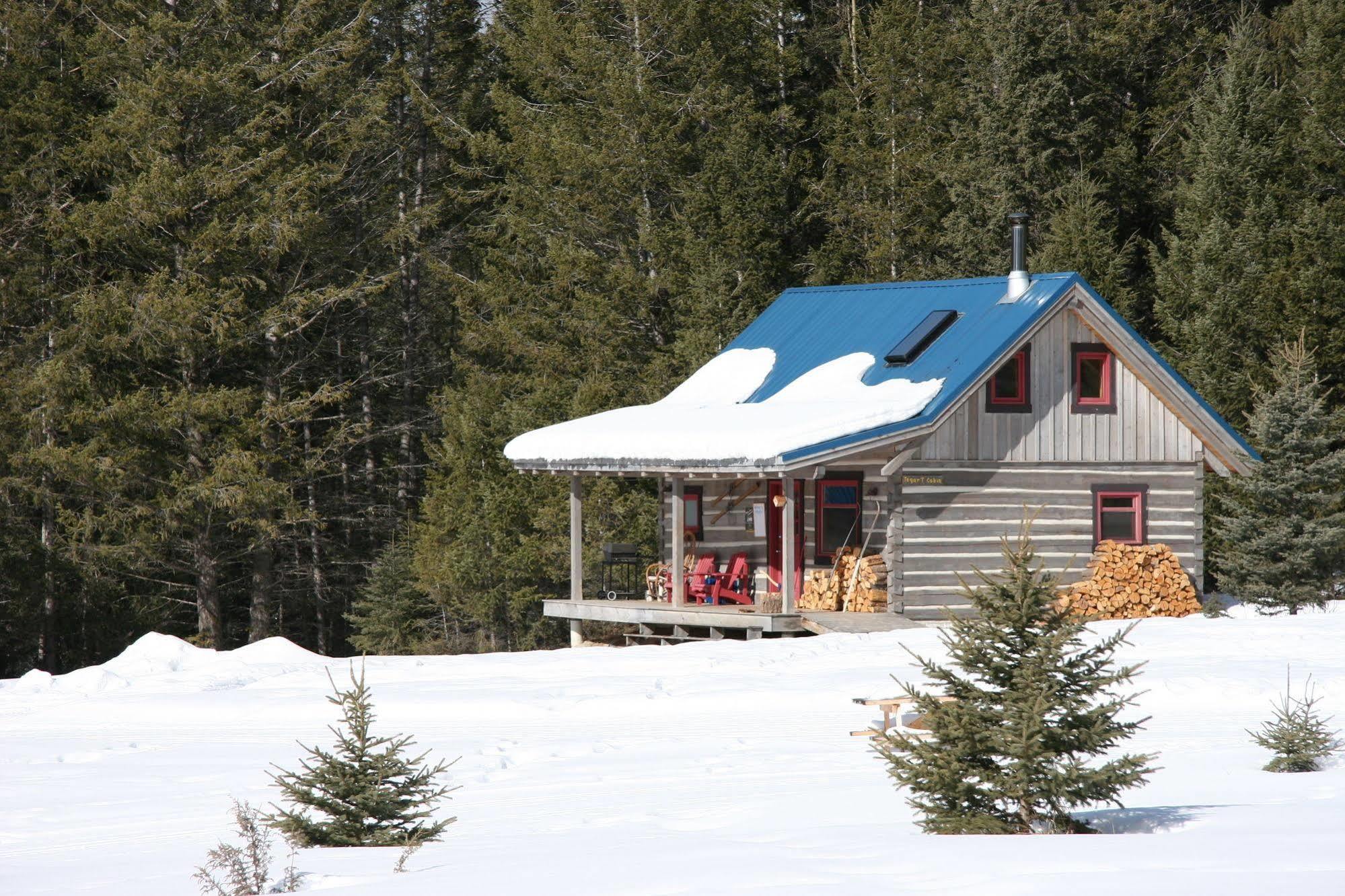 Nipika Mountain Resort Radium Hot Springs Esterno foto